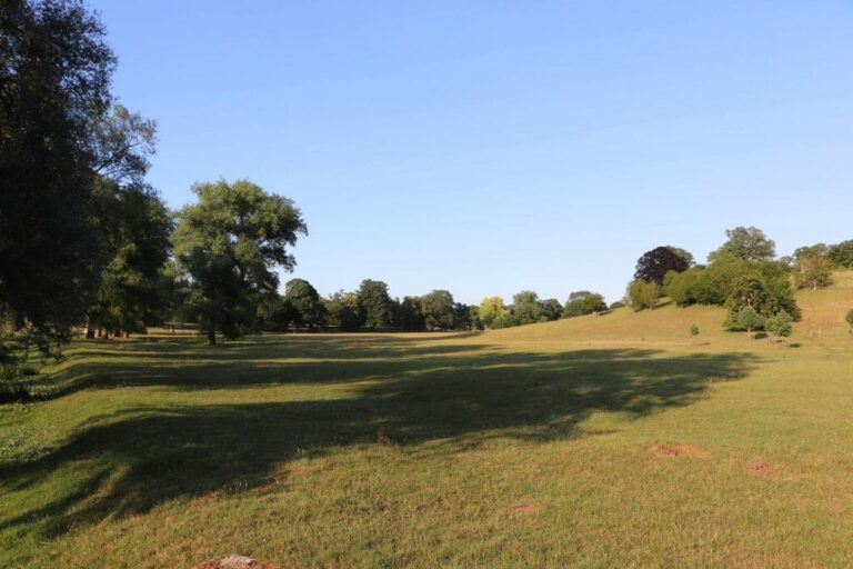 Grand English Estate image 52