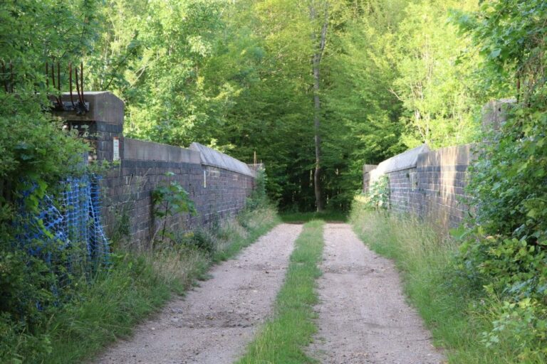 Grand English Estate image 56