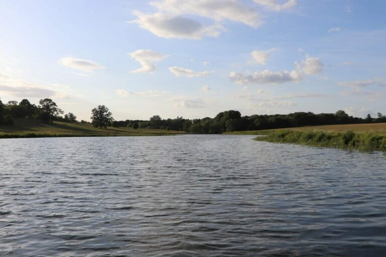 Grand English Estate image 57