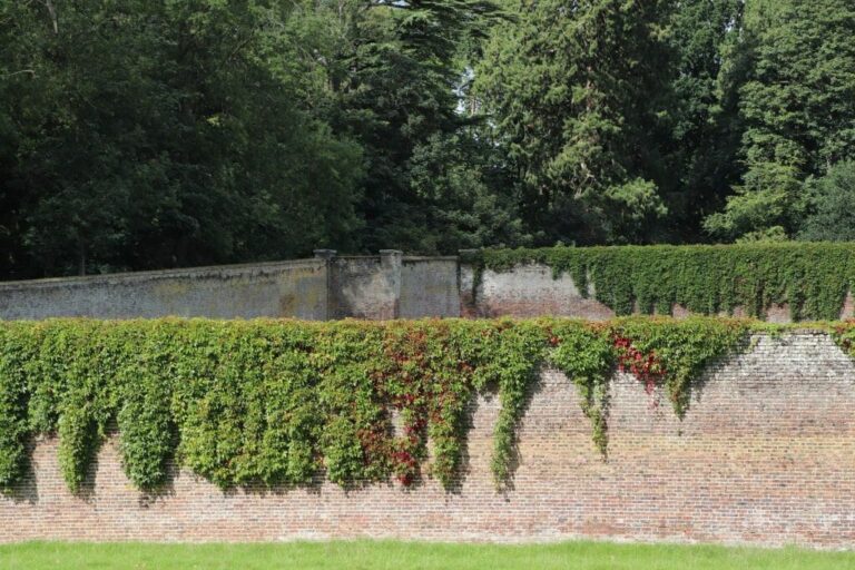 Grand English Estate image 58