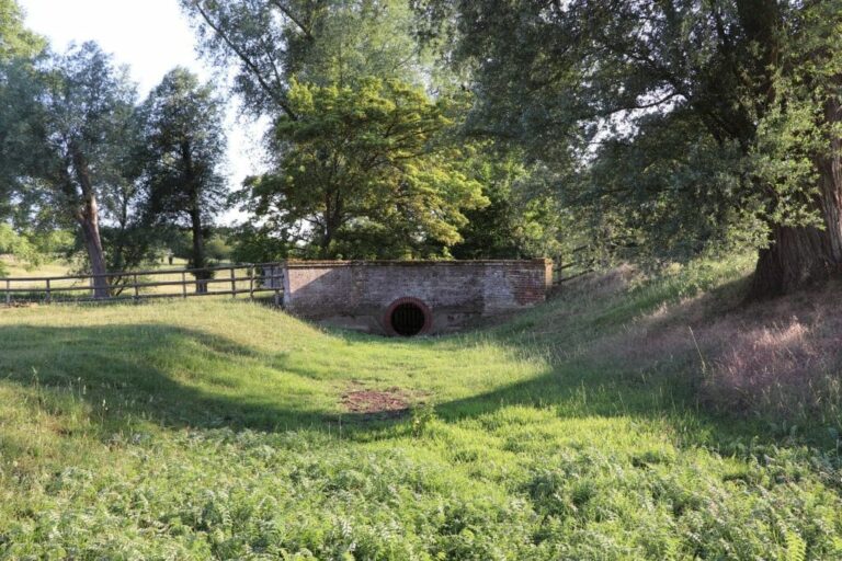 Grand English Estate image 14