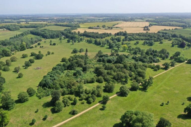Large Private Farm and Fields image 18