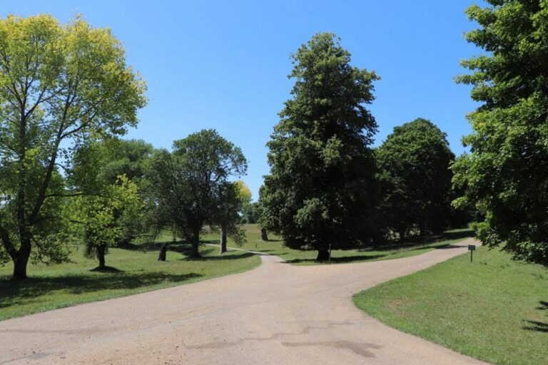Grand English Estate image 16