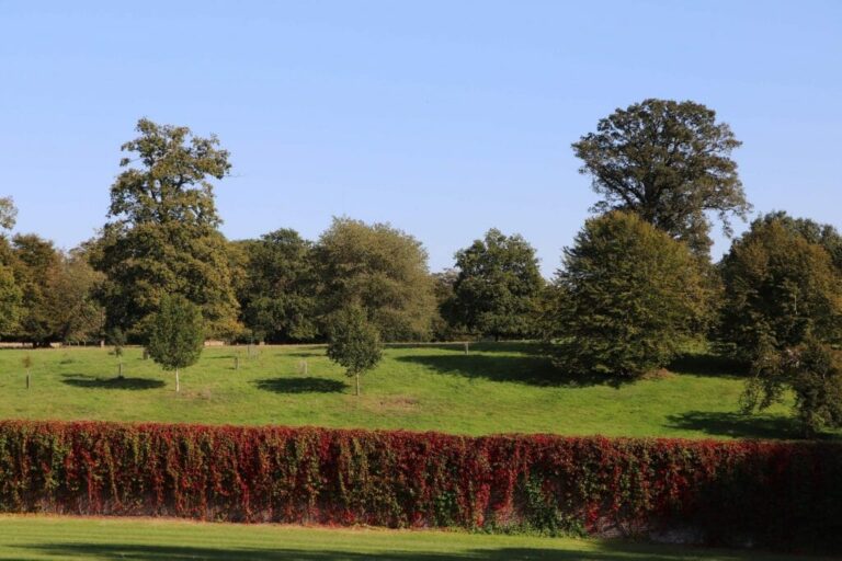 Grand English Estate image 17