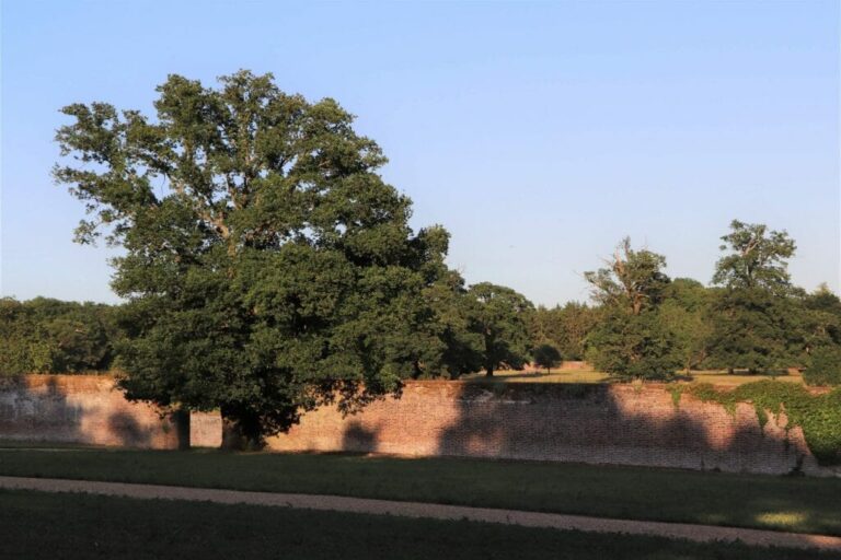 Grand English Estate image 20