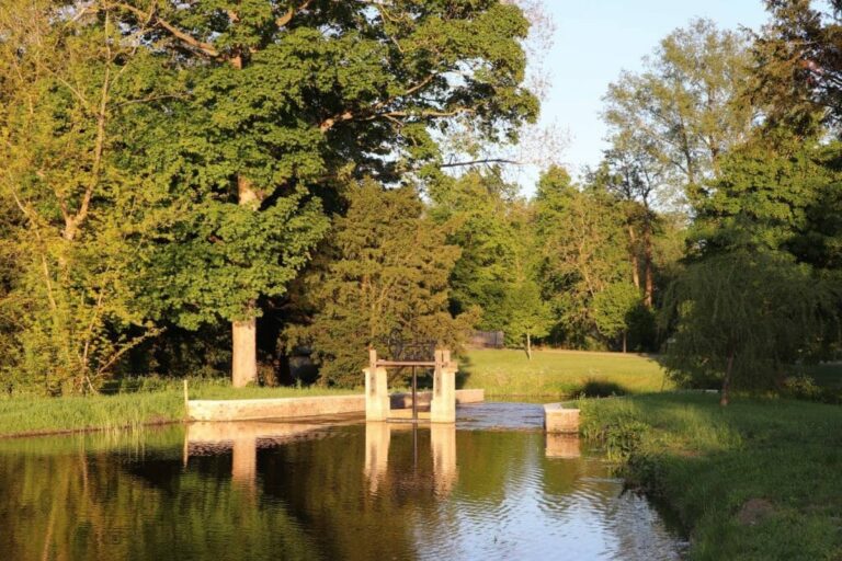 Grand English Estate image 26