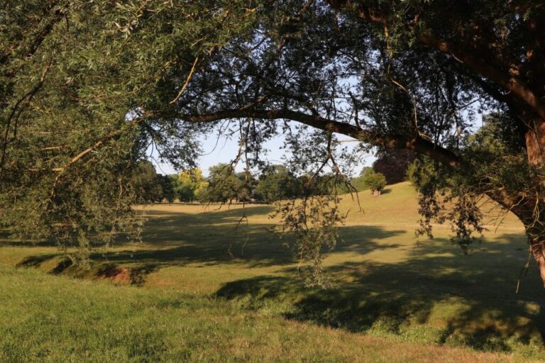 Grand English Estate image 30