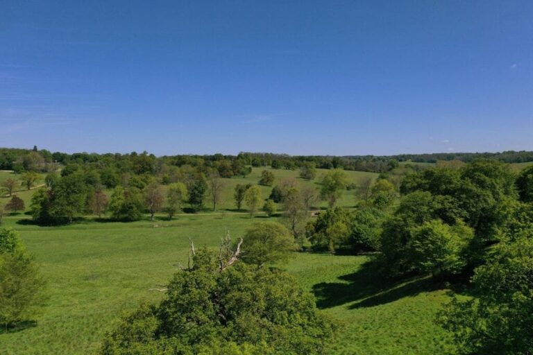 Grand English Estate image 31