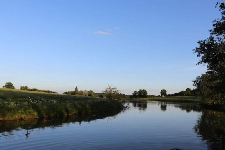 Grand English Estate image 33