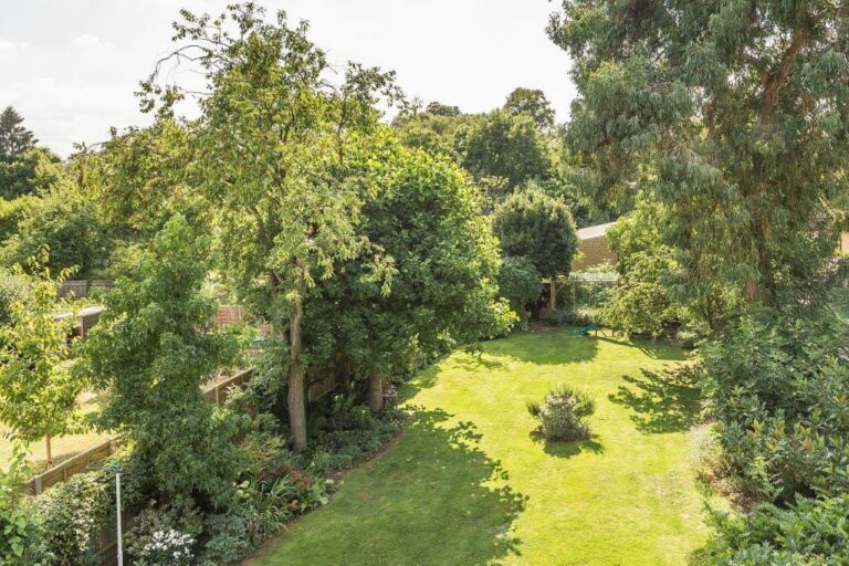 Large Ealing Family Home image 63