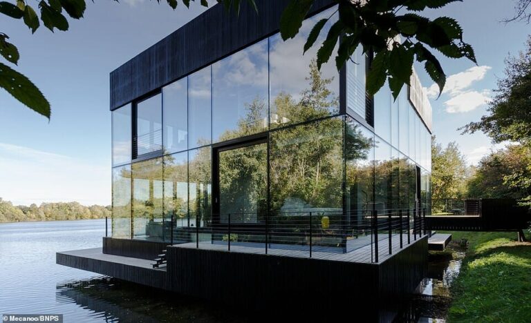 Remote Modern House with Waterview image 2