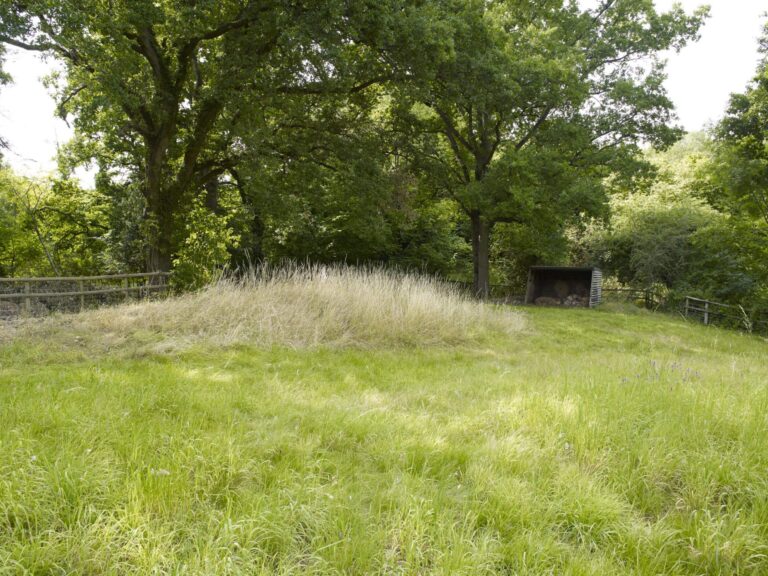 A Detached Period Cottage image 68