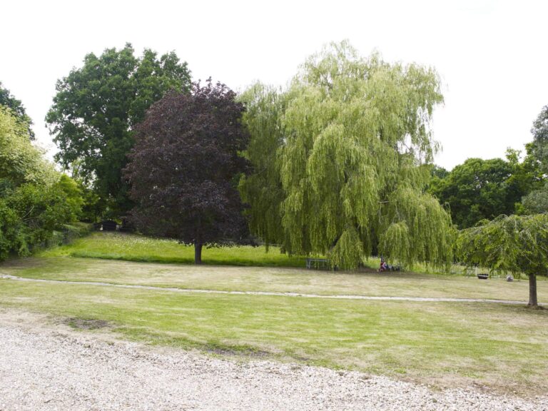 A Detached Period Cottage image 44