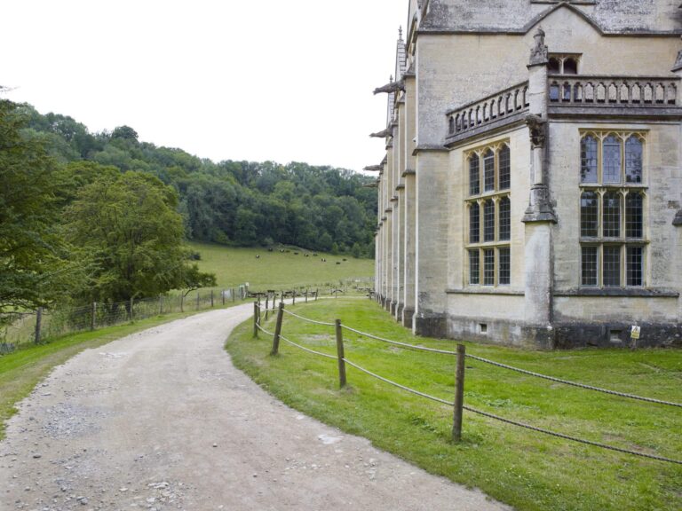 Gothic Victorian House image 50
