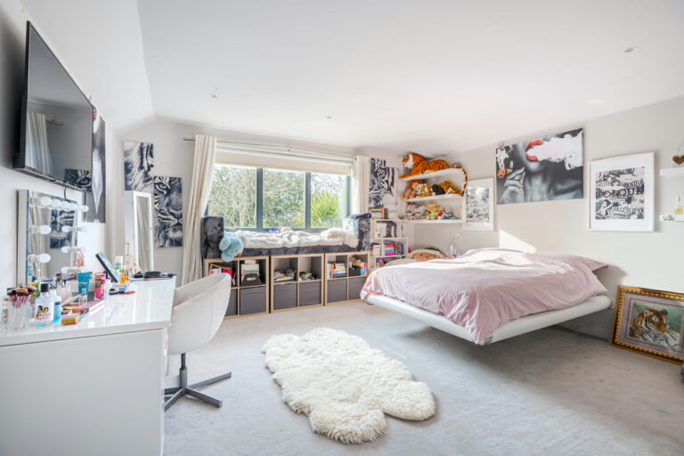 Modern Dulwich Home with Outhouse image 23