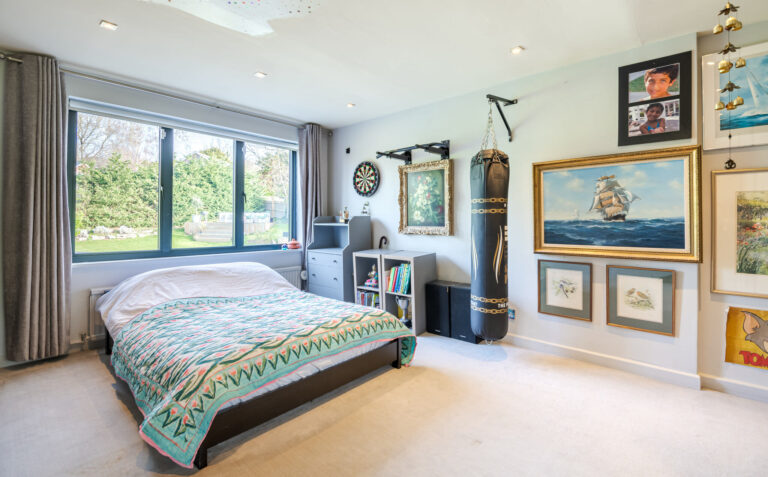 Modern Dulwich Home with Outhouse image 24