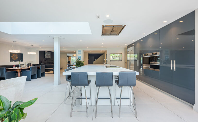 Modern Dulwich Home with Outhouse image 5