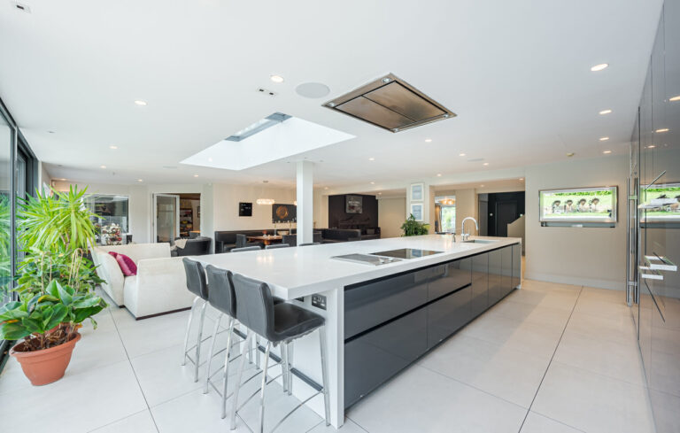 Modern Dulwich Home with Outhouse image 6