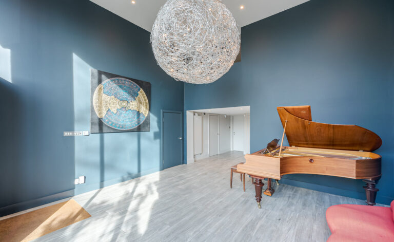 Modern Dulwich Home with Outhouse image 13