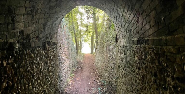 Old English Woodland image 7