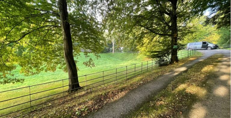 Old English Woodland image 8