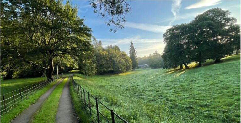 Old English Woodland image 11
