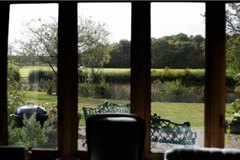 Wonderful English Farm in Remote Location image 29