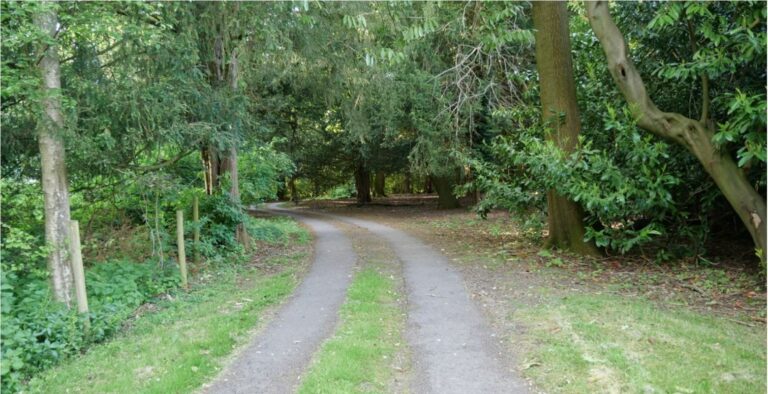 Old English Woodland image 13