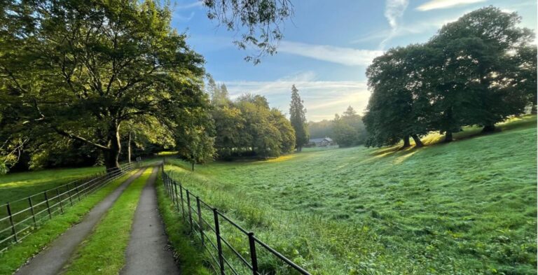 Old English Woodland image 1