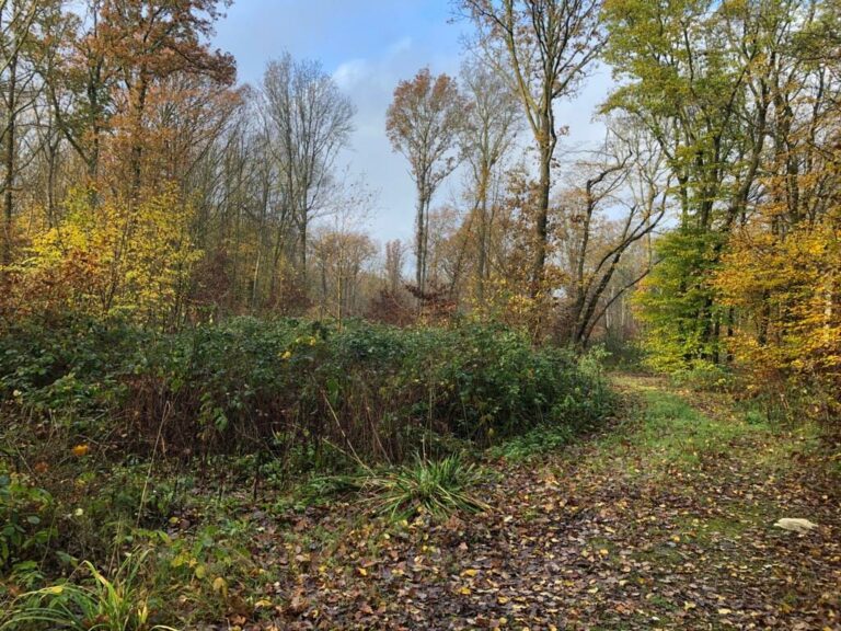 Wonderful English Farm in Remote Location image 58