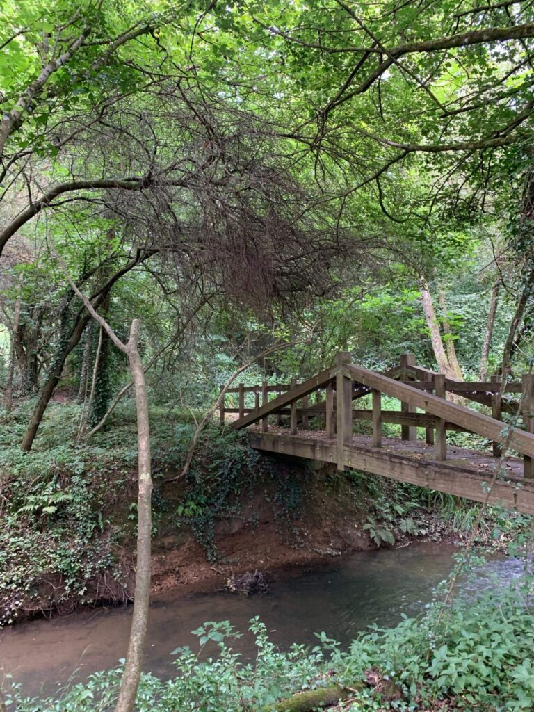 A Unique and Romantic 18th Century Working Watermill image 29