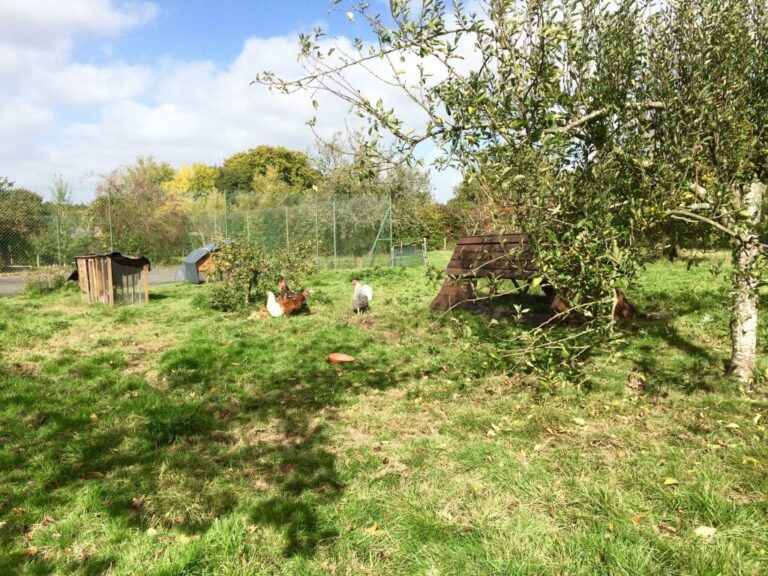 Wonderful English Farm in Remote Location image 55
