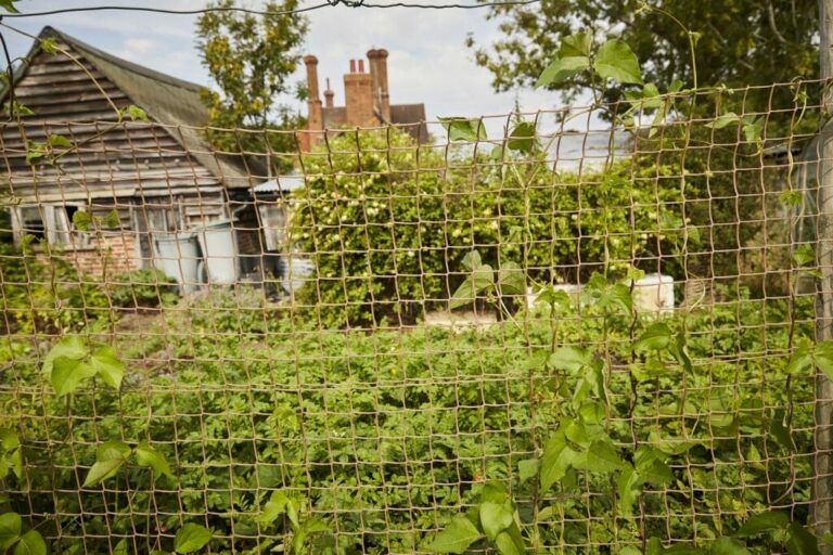 Wonderful English Farm in Remote Location image 38