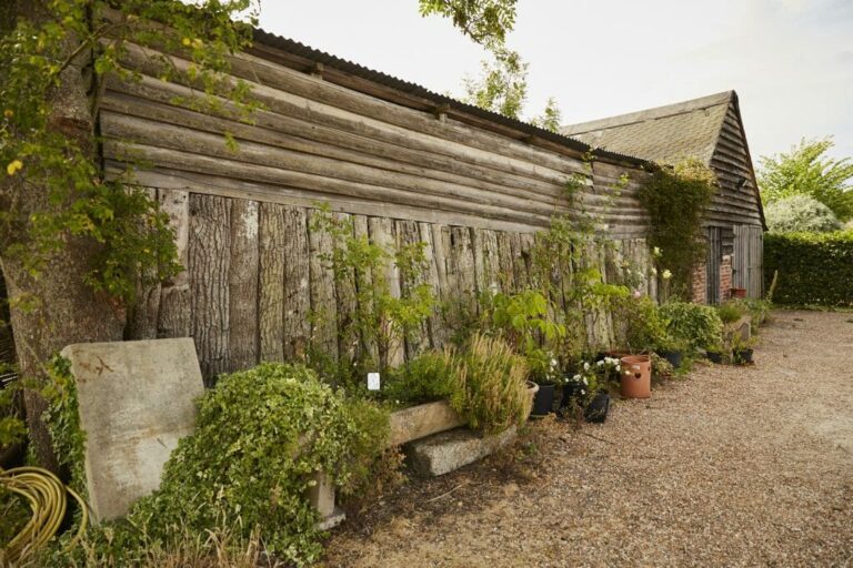 Wonderful English Farm in Remote Location image 47