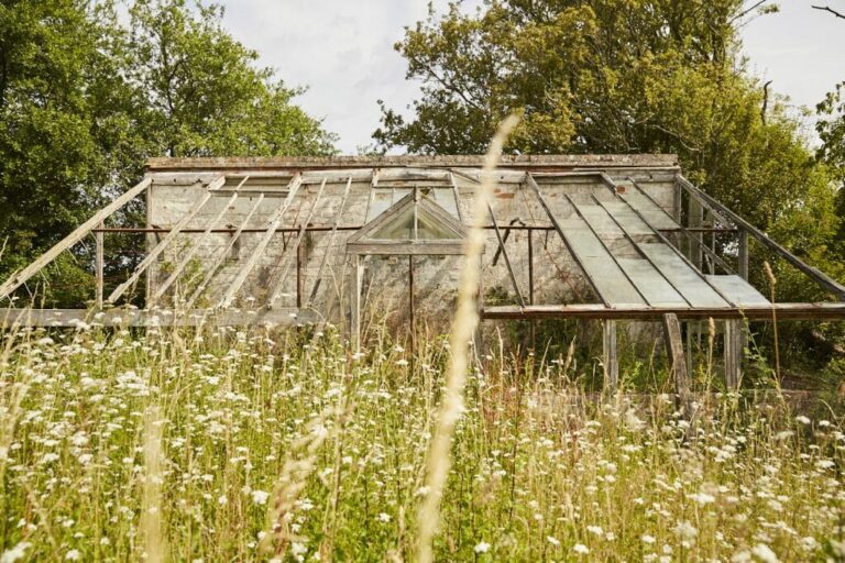 Wonderful English Farm in Remote Location image 41