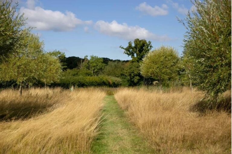 Wonderful English Farm in Remote Location image 61