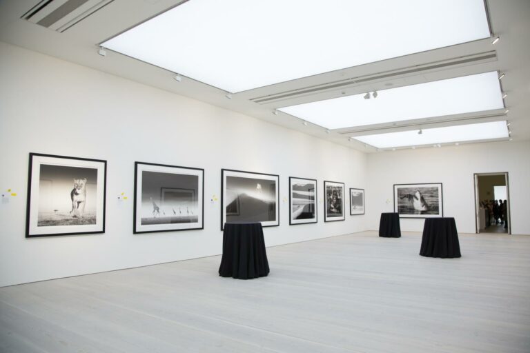 Contemporary Gallery in Chelsea image 9