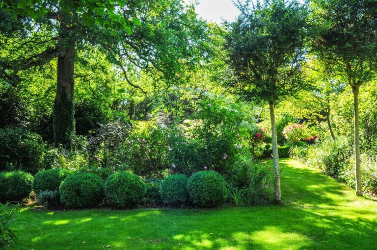 Contemporary Theydon Bois image 38