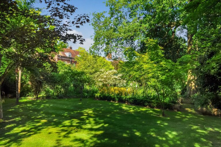 Contemporary Theydon Bois image 43