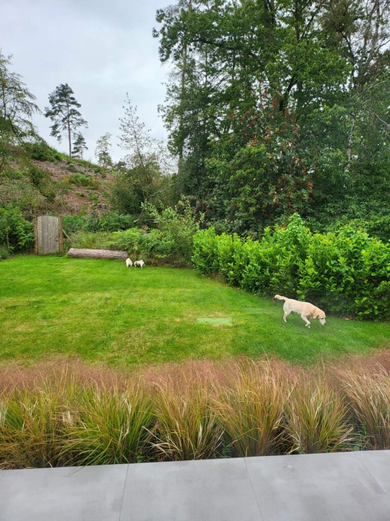 Grand Designs Surrey Home image 41