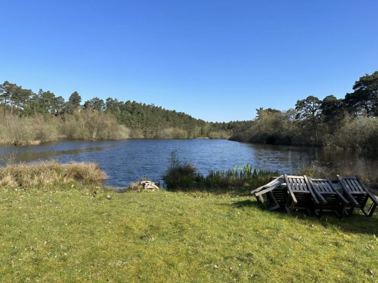 Woodland, Lakes and Garden Centre image 52
