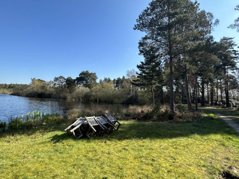 Woodland, Lakes and Garden Centre image 53