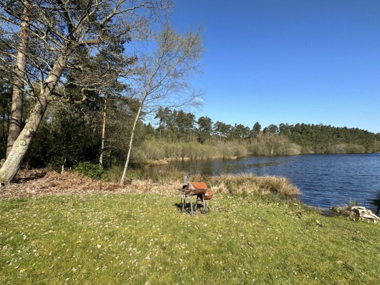 Woodland, Lakes and Garden Centre image 54