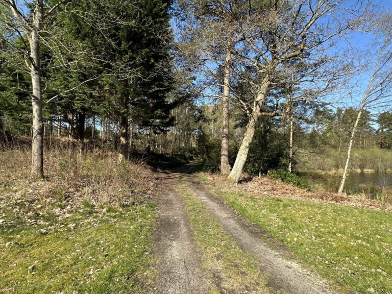 Woodland, Lakes and Garden Centre image 55