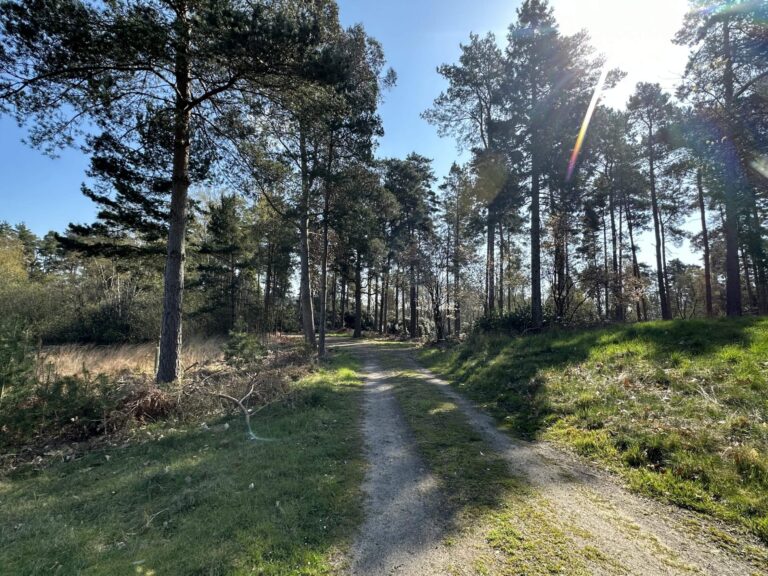 Woodland, Lakes and Garden Centre image 13