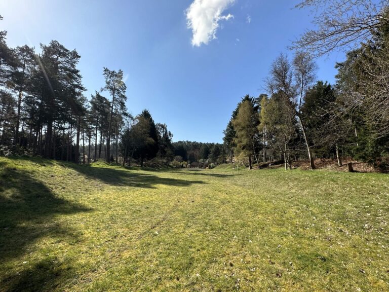 Woodland, Lakes and Garden Centre image 56