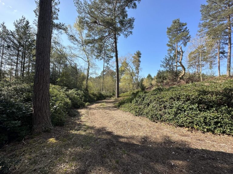 Woodland, Lakes and Garden Centre image 7