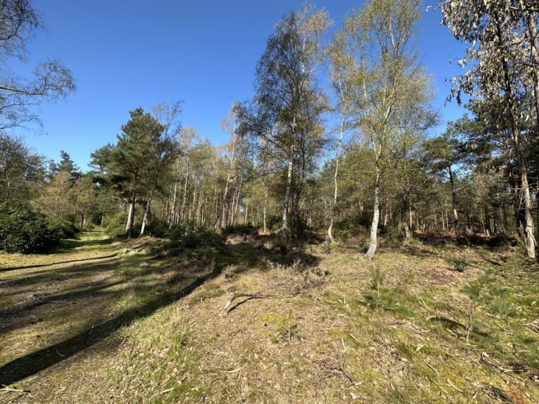 Woodland, Lakes and Garden Centre image 10