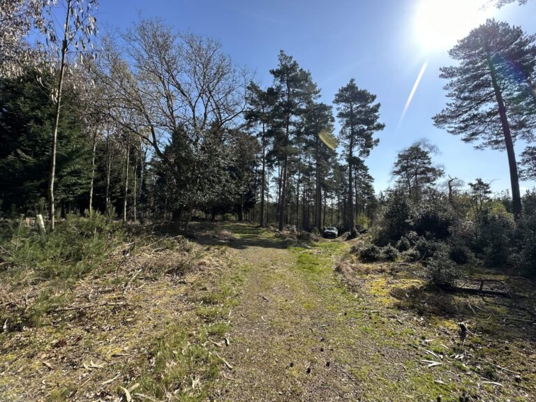 Woodland, Lakes and Garden Centre image 12