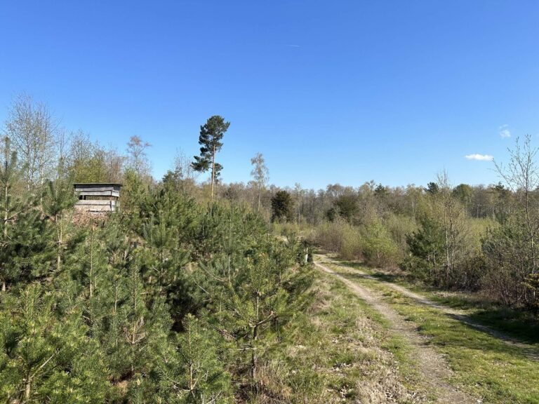 Woodland, Lakes and Garden Centre image 14